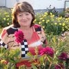 Елена, 51, г.Тамбов Елена, 51, г.Тамбов