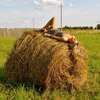 Лерика, 29, г.Мирный (Архангельская обл.) Лерика, 29, г.Мирный (Архангельская обл.)