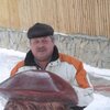 сергей, 58, г.Реж сергей, 58, г.Реж