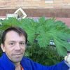 somic, 37, г.Железнодорожный somic, 37, г.Железнодорожный