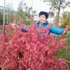 Светлана, 58, г.Москва Светлана, 58, г.Москва