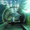Андрей, 33, г.Симферополь Андрей, 33, г.Симферополь