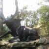 Александр, 39, г.Верхний Уфалей Александр, 39, г.Верхний Уфалей