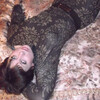 Ирина, 46, г.Петровск Ирина, 46, г.Петровск