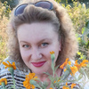 Вита, 45, г.Курск Вита, 45, г.Курск