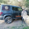 Александр, 34, г.Смоленск Александр, 34, г.Смоленск