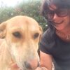 Людмила, 49, г.Белоярский (Тюменская обл.) Людмила, 49, г.Белоярский (Тюменская обл.)