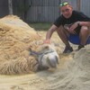 Виталий Сурнин, 36, г.Тында Виталий Сурнин, 36, г.Тында