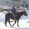 Алекс, 35, г.Пятигорск Алекс, 35, г.Пятигорск