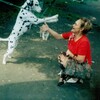Татьяна, 70, г.Спасск-Дальний Татьяна, 70, г.Спасск-Дальний