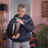 андрей, 56, г.Майкоп андрей, 56, г.Майкоп