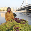 Алла, 36, г.Волгоград Алла, 36, г.Волгоград
