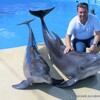Сергей, 50, г.Екатеринбург Сергей, 50, г.Екатеринбург