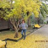 Наталья, 48, г.Зерноград Наталья, 48, г.Зерноград
