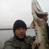 Андрей, 37, г.Выгоничи Андрей, 37, г.Выгоничи