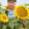александр, 38, г.Чульман александр, 38, г.Чульман