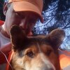 Максим, 31, г.Видное Максим, 31, г.Видное