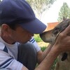 Сергей, 43, г.Мантурово Сергей, 43, г.Мантурово