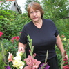 галя, 71, г.Ижевск галя, 71, г.Ижевск