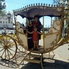 Раиля, 57, г.Ижевск Раиля, 57, г.Ижевск