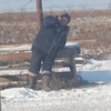 Владимир, 33, г.Тында Владимир, 33, г.Тында
