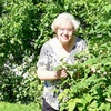 Людмила Баканова, 70, г.Великий Новгород (Новгород) Людмила Баканова, 70, г.Великий Новгород (Новгород)