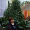 Валентина, 62, г.Нижние Серги Валентина, 62, г.Нижние Серги
