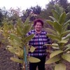 Раиса, 68, г.Чегдомын Раиса, 68, г.Чегдомын
