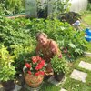 Юлия, 62, г.Котлас Юлия, 62, г.Котлас