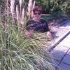 Tamara, 45, г.Ялта Tamara, 45, г.Ялта