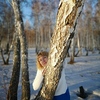 наташа, 41, г.Иркутск наташа, 41, г.Иркутск