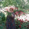 Лариса, 60, г.Волгоград Лариса, 60, г.Волгоград