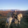 Алексей, 32, г.Усть-Кокса Алексей, 32, г.Усть-Кокса