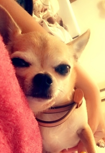 Лиля (@lilya10095) — моя фотография № 2