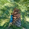 Ильнур, 35, г.Казань Ильнур, 35, г.Казань
