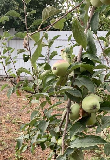 Мага (@maga16279) — моя фотография № 1