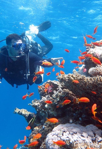 Али (@ali60258) — моя фотография № 1