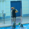 Алекс, 37, г.Пильна Алекс, 37, г.Пильна