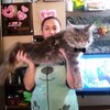 Виктория Leonidovna, 25, г.Киров (Кировская обл.) Виктория Leonidovna, 25, г.Киров (Кировская обл.)