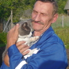 анатолий, 65, г.Сольцы анатолий, 65, г.Сольцы