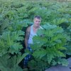 Алексей, 35, г.Александров Алексей, 35, г.Александров