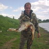 Сергей, 42, г.Малая Вишера Сергей, 42, г.Малая Вишера