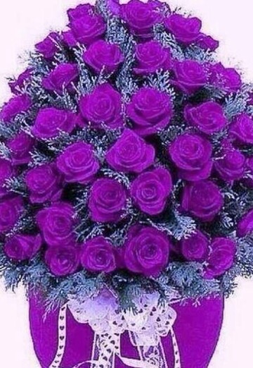 Чамшед (@chamshed330) — моя фотография № 1