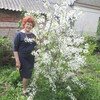 ЛЮБОВЬ, 63, г.Куркино ЛЮБОВЬ, 63, г.Куркино