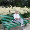 георгий, 68, г.Звенигово георгий, 68, г.Звенигово