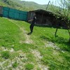 Шако, 28, г.Пятигорск Шако, 28, г.Пятигорск