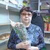 Галина, 57, г.Вологда Галина, 57, г.Вологда