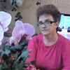 Таисия Орехова, 60, г.Угра Таисия Орехова, 60, г.Угра
