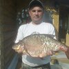 АЛЕКСЕЙ, 44, г.Сланцы АЛЕКСЕЙ, 44, г.Сланцы