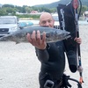 pirat, 43, г.Краснодар pirat, 43, г.Краснодар